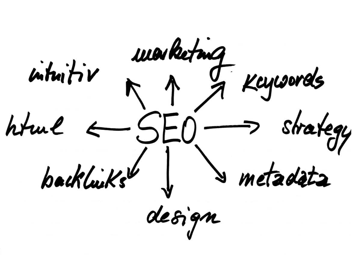 SEO Expert