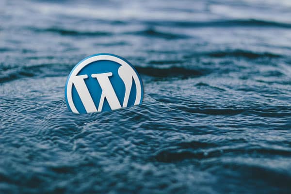 Website laten maken WordPress